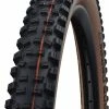 Schwalbe Hans Dampf Evo Super Trail 27,5x2,60" TLE Addix Soft Pneu Pliant